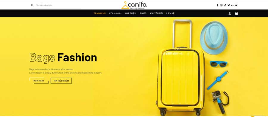 thiết kế website chuyên nghiệp