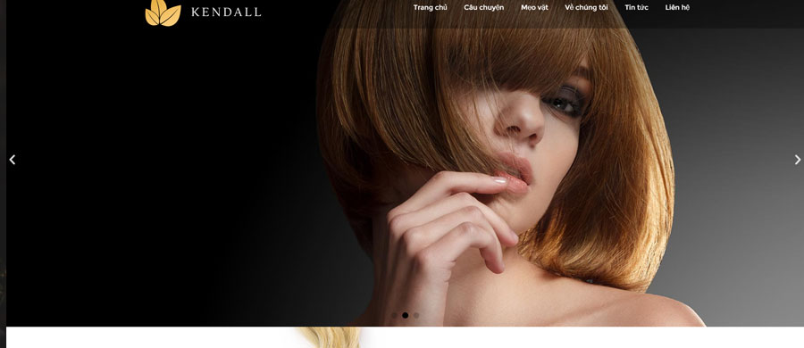 Thiết kế website Spa 16 1 thiet-ke-web-spa-1