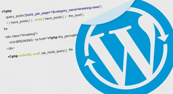 tham so trong wp query