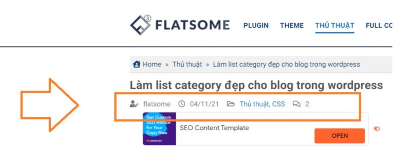 Hiện thị thông tin bài đăng blog wordpress trong theme flatsome